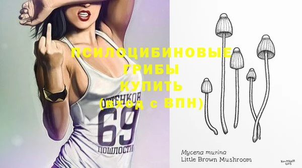 экстази Абаза